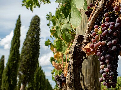 Italienisch lernen in Lucca