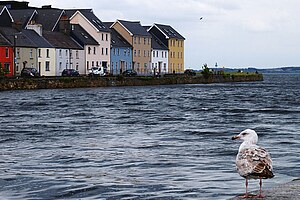 Carl Duisberg Sprachreisen für Erwachsene - Galway - Irland